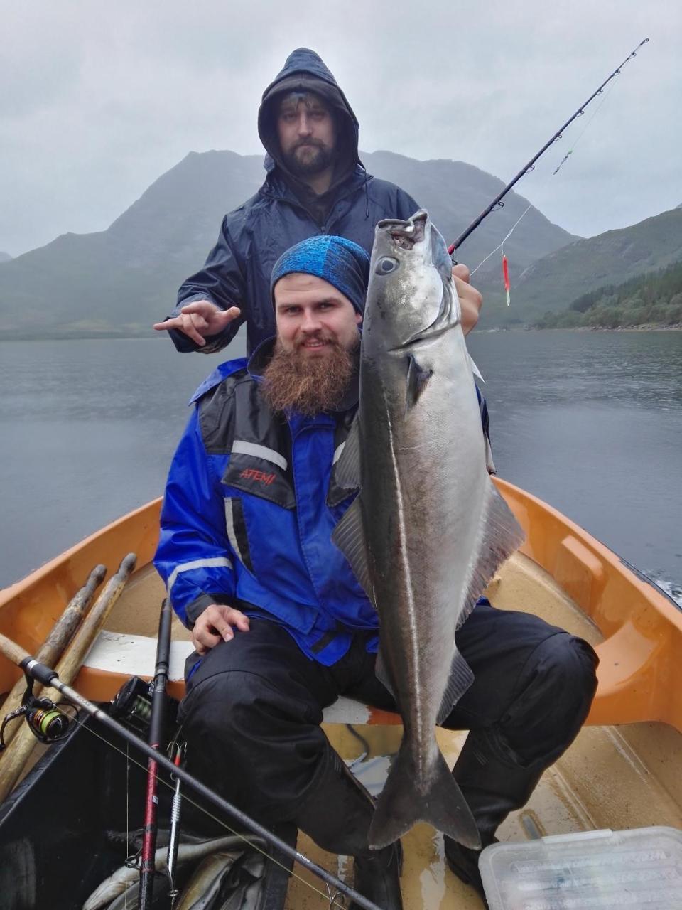 Gullesfjord Camping Экстерьер фото